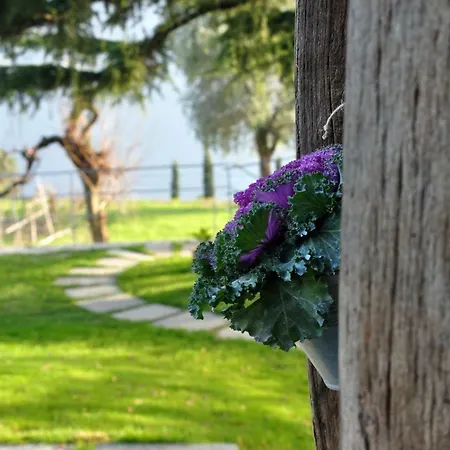 La Cassinella Bed and breakfast Cernobbio